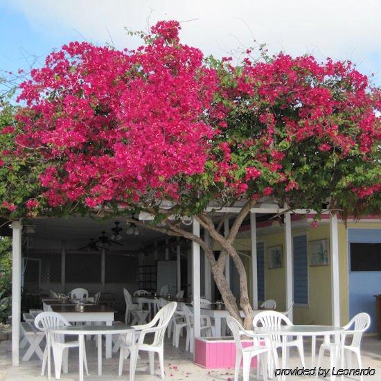 Anegada Reef Hotel The Settlement Ресторан фото