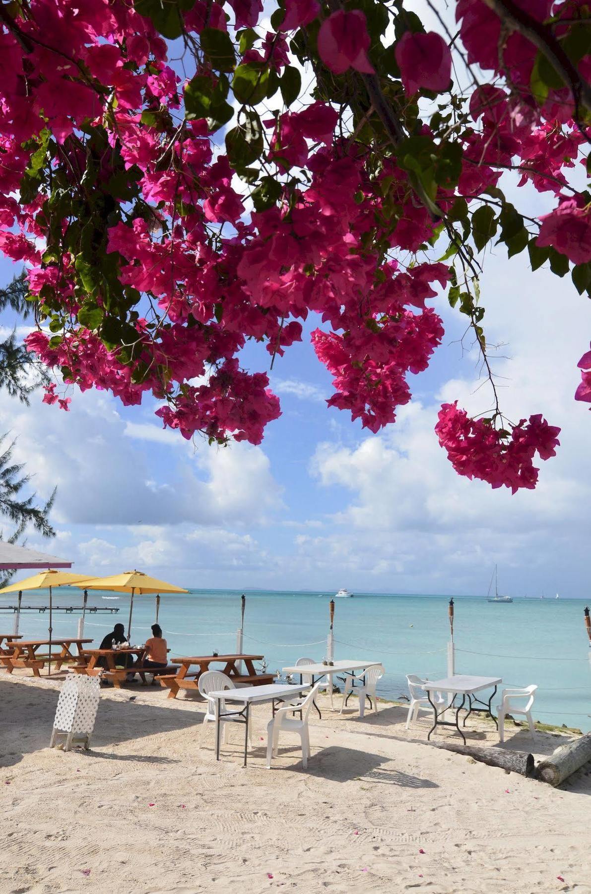 Anegada Reef Hotel The Settlement Экстерьер фото