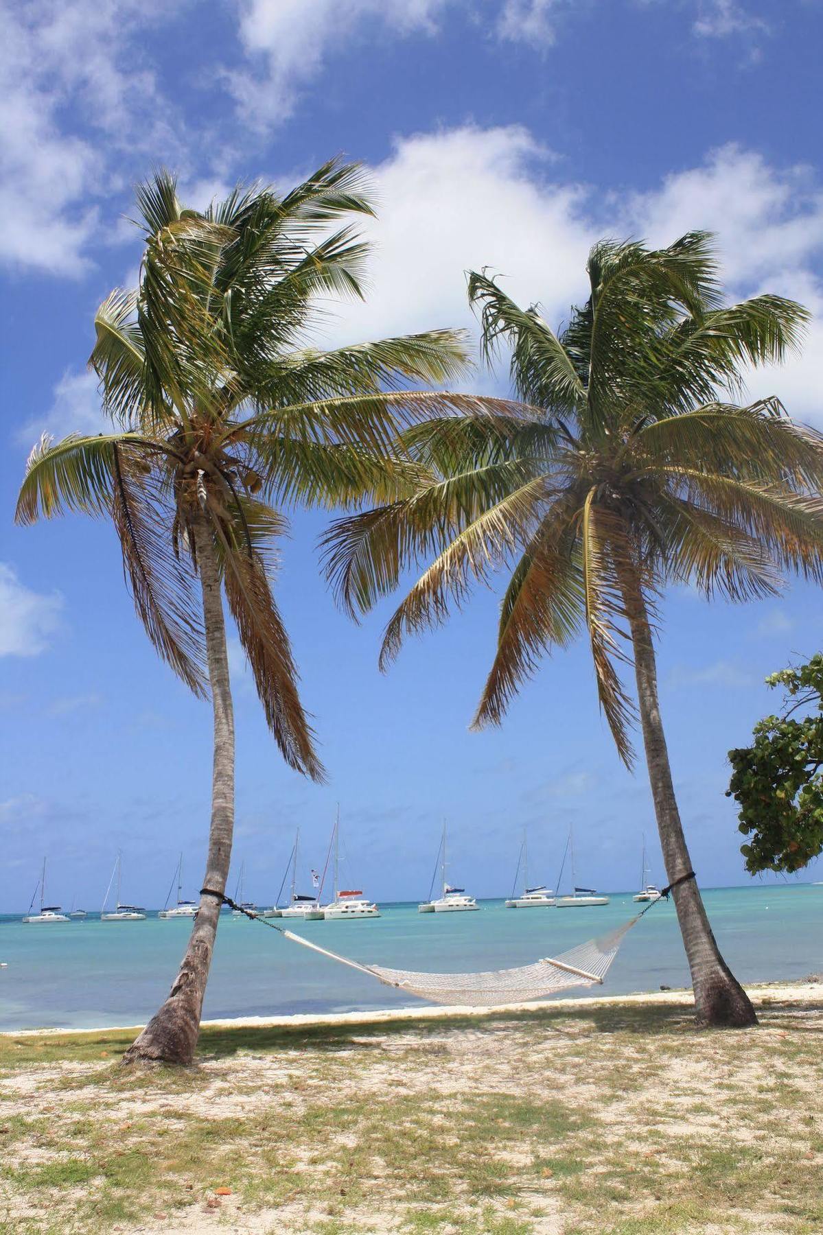 Anegada Reef Hotel The Settlement Экстерьер фото